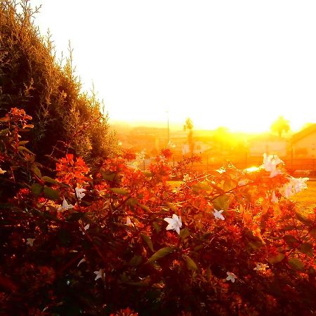 Casa Rural Telleri โซเปลานา ภายนอก รูปภาพ