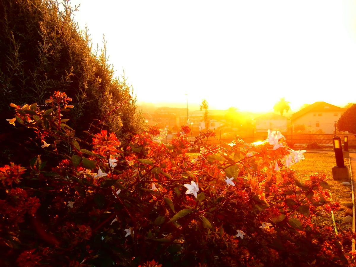 Casa Rural Telleri โซเปลานา ภายนอก รูปภาพ